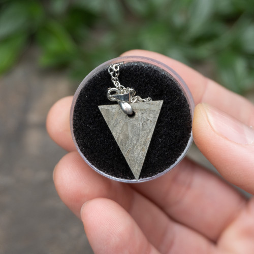 Muonionalusta Meteorite Necklace #1