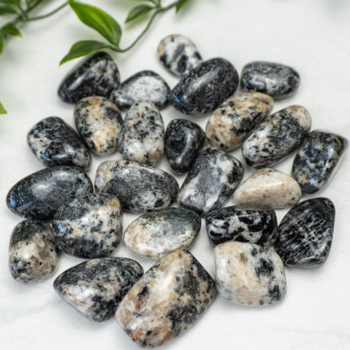 Orbicular Granite Tumbled