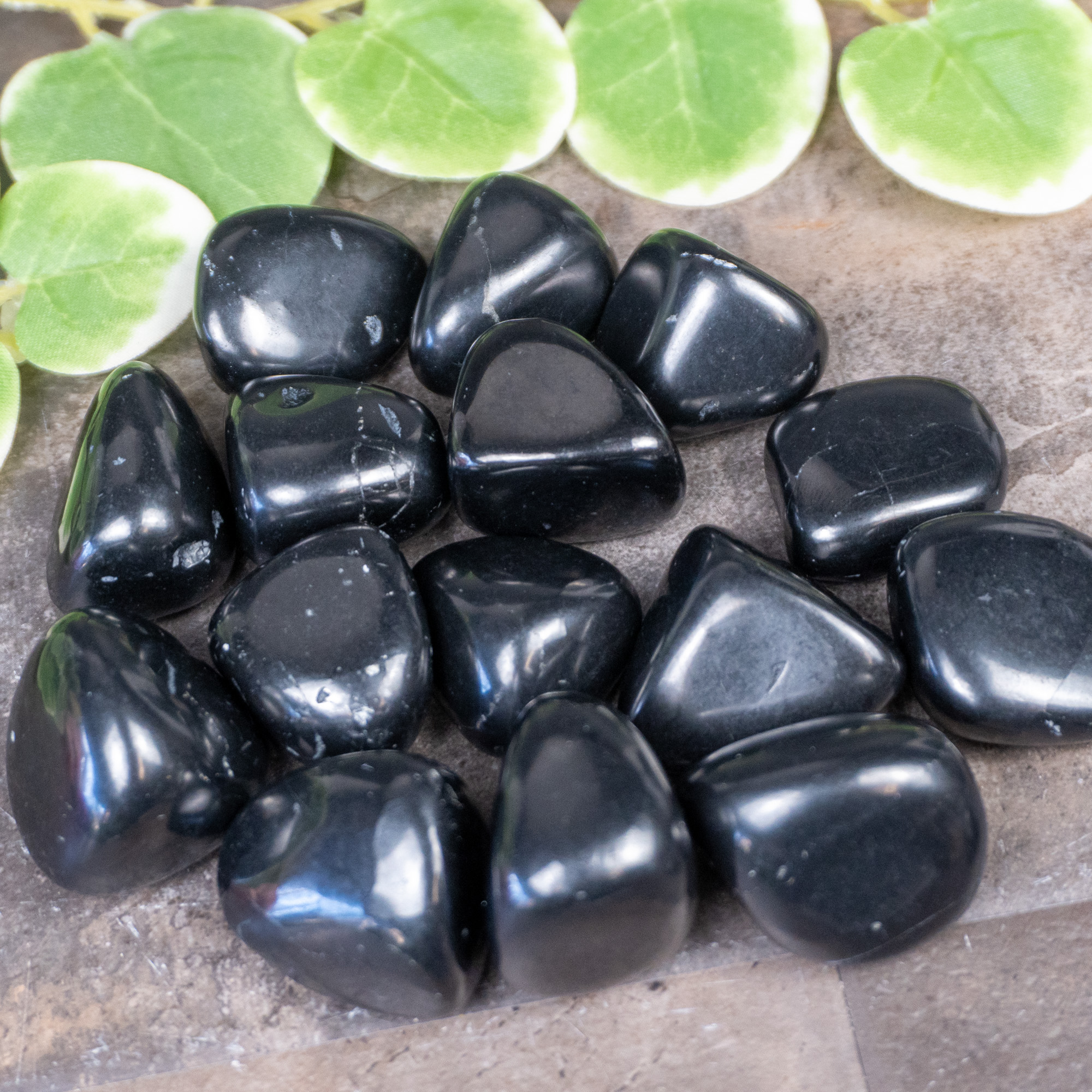 XL Shungite Tumbled