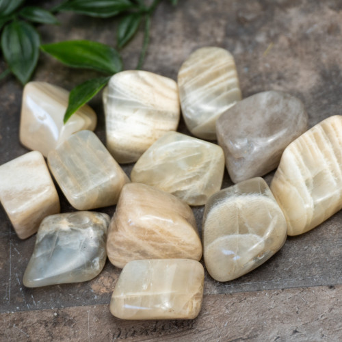 XL Moonstone Tumbled