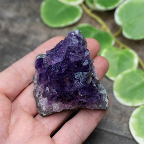 Uruguayan Amethyst #5
