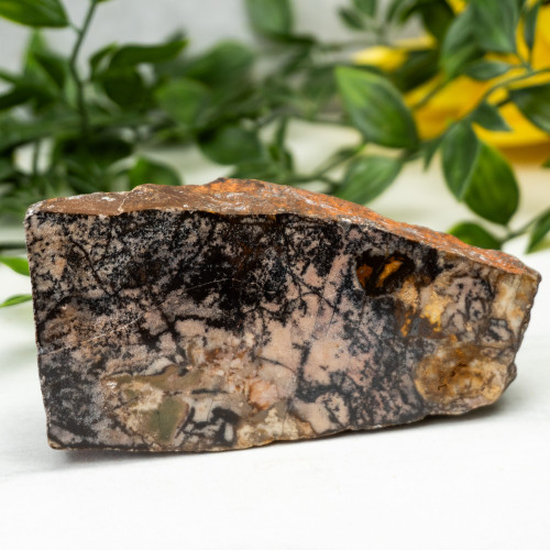 Outback Jasper Slab #2