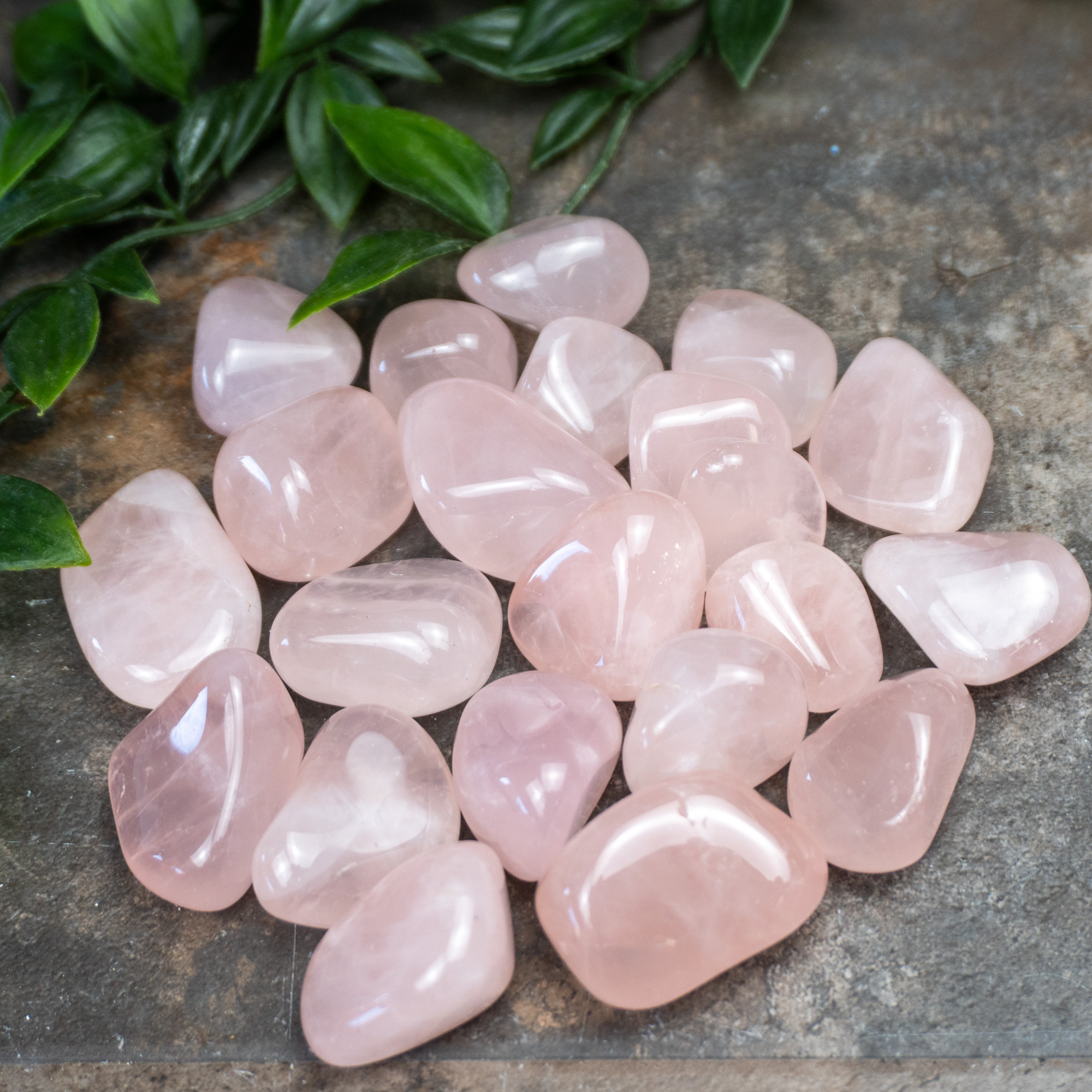 A+ Quality Rose Quartz Tumbled