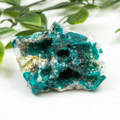 Diptase on Matrix #9