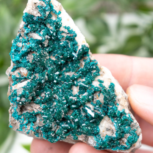 Diptase on Matrix #8