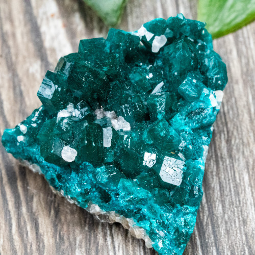 Diptase on Matrix #1