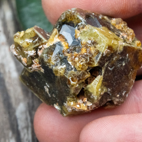 Green Garnet with Druzy Garnets #3