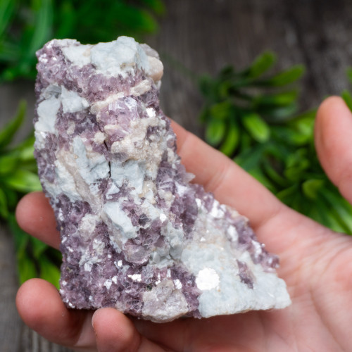 Lepidolite in Aquamarine and Quartz #1