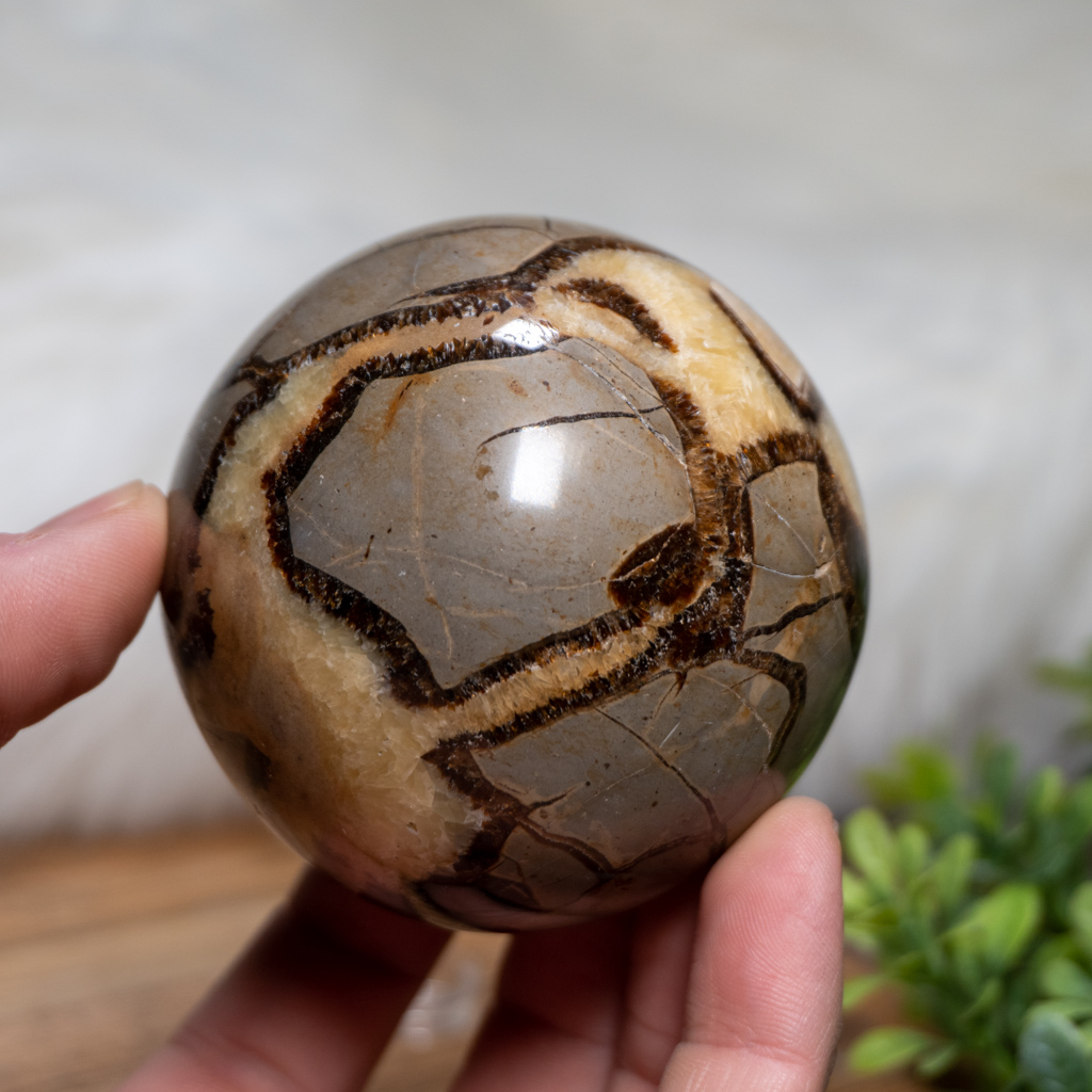 Large Septarian Sphere - The Crystal Council