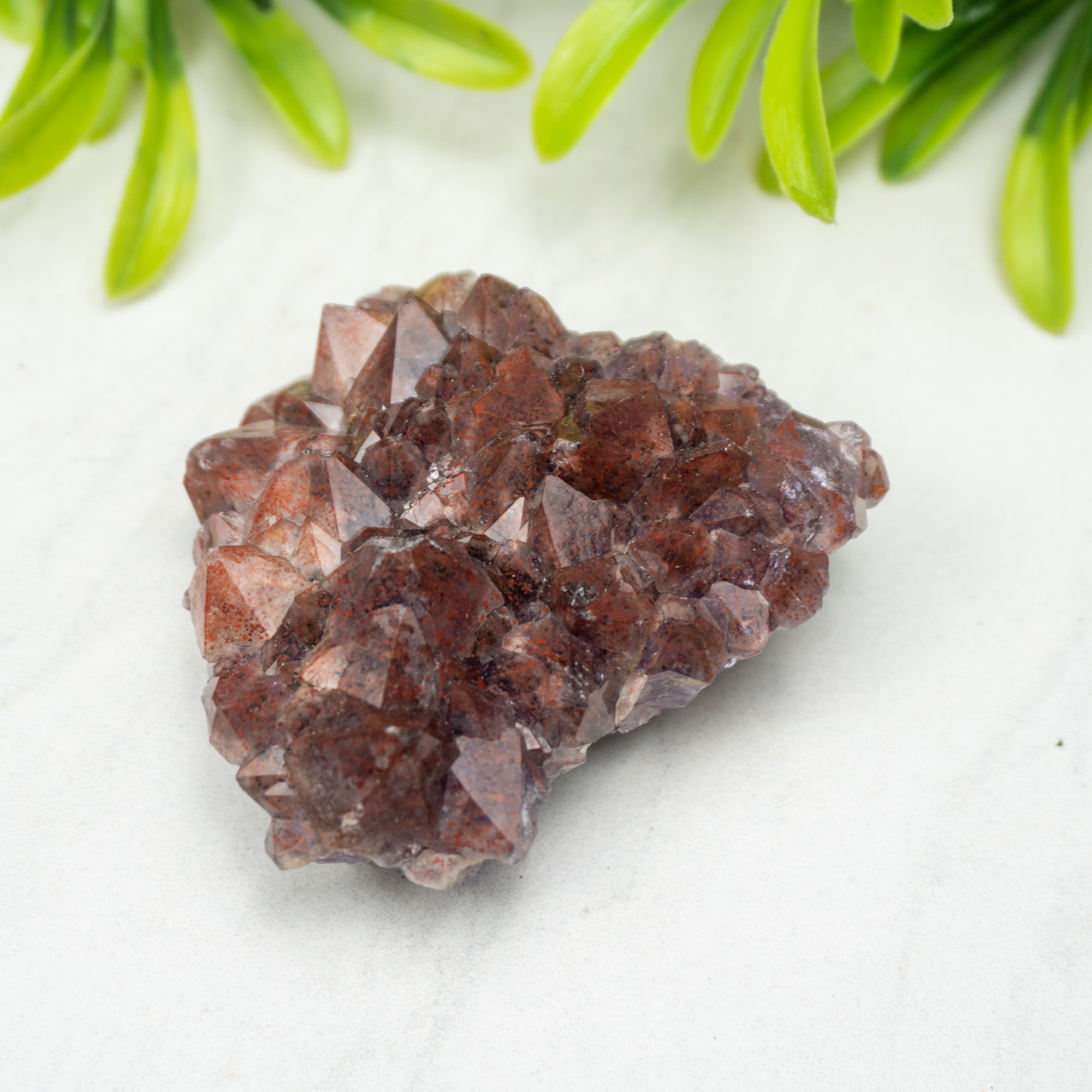 Auralite 23 #10