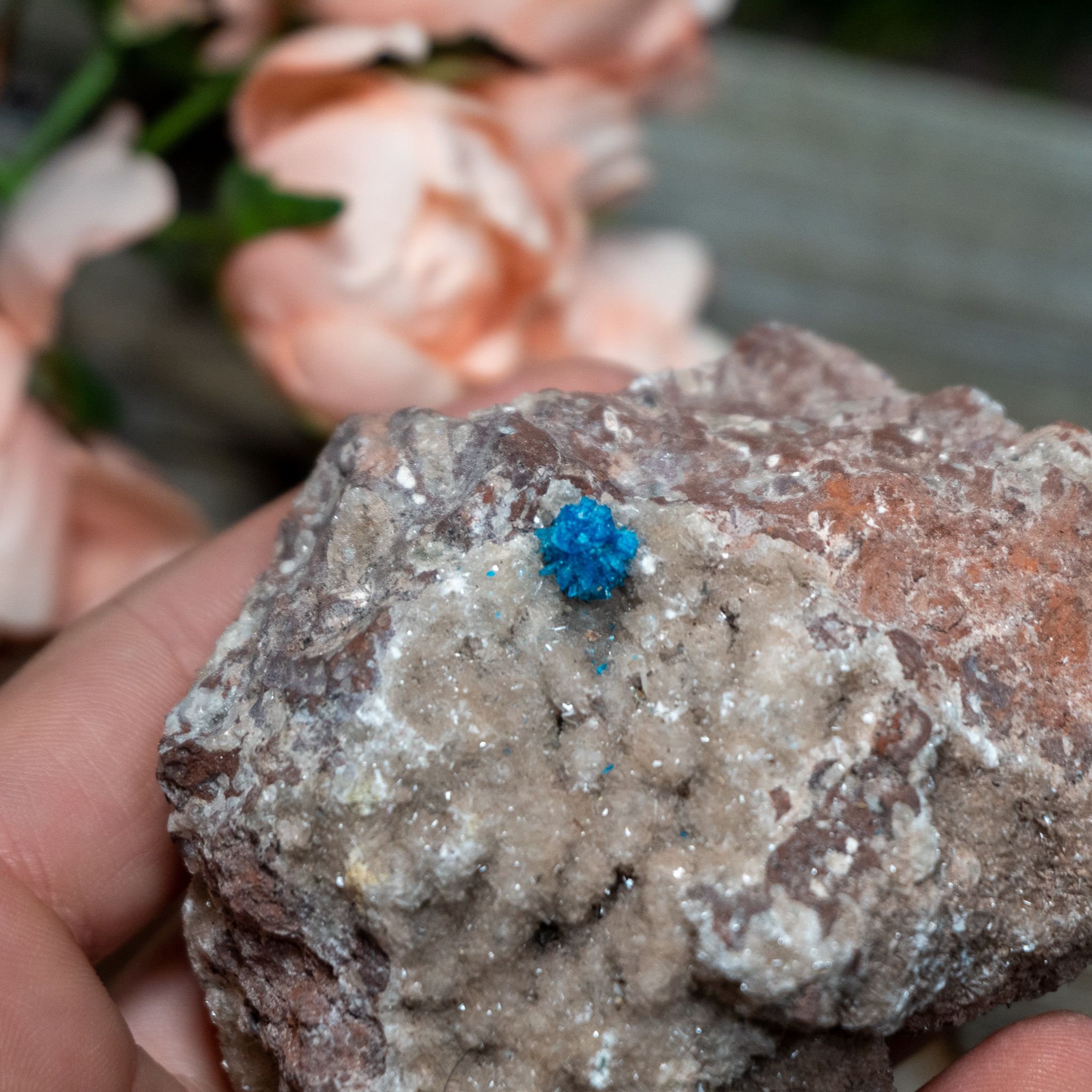 Cavansite #4
