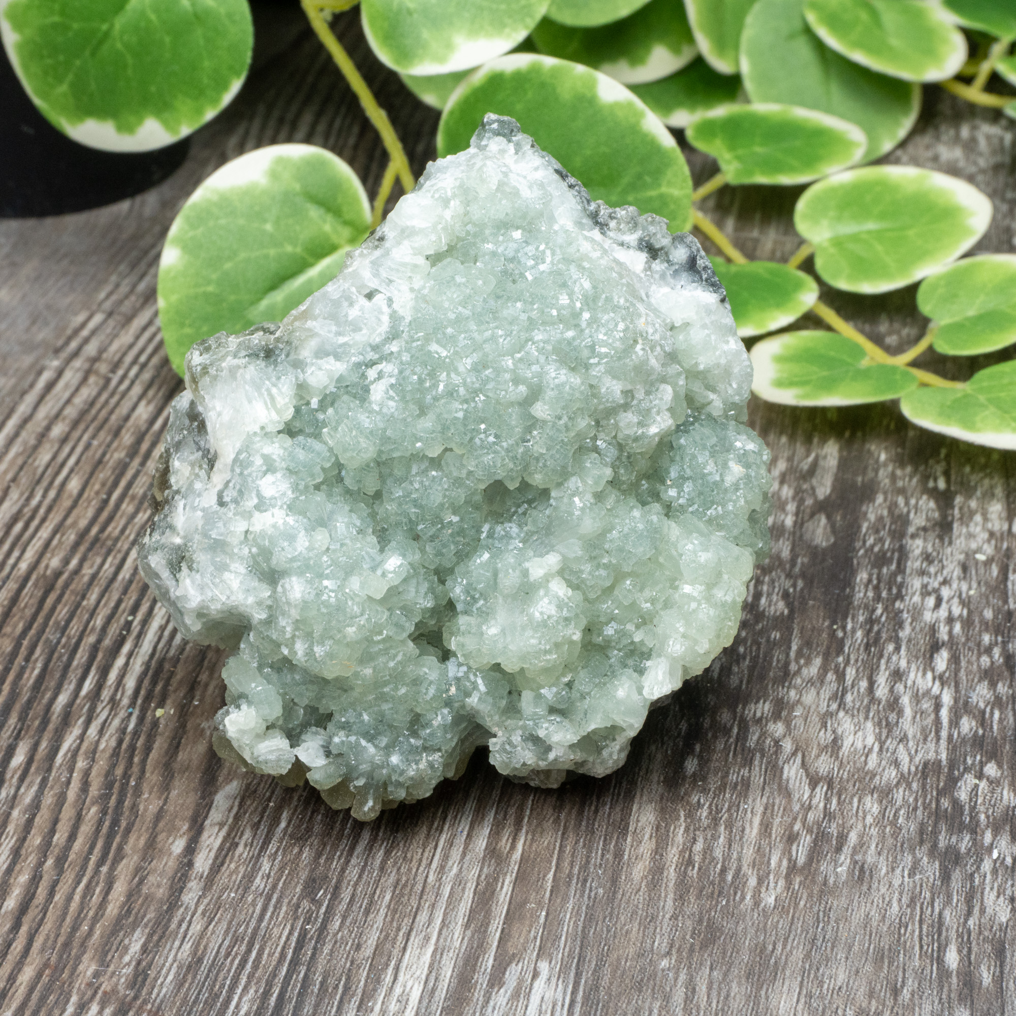 Prhenite Prehnite #3 - The Crystal Council