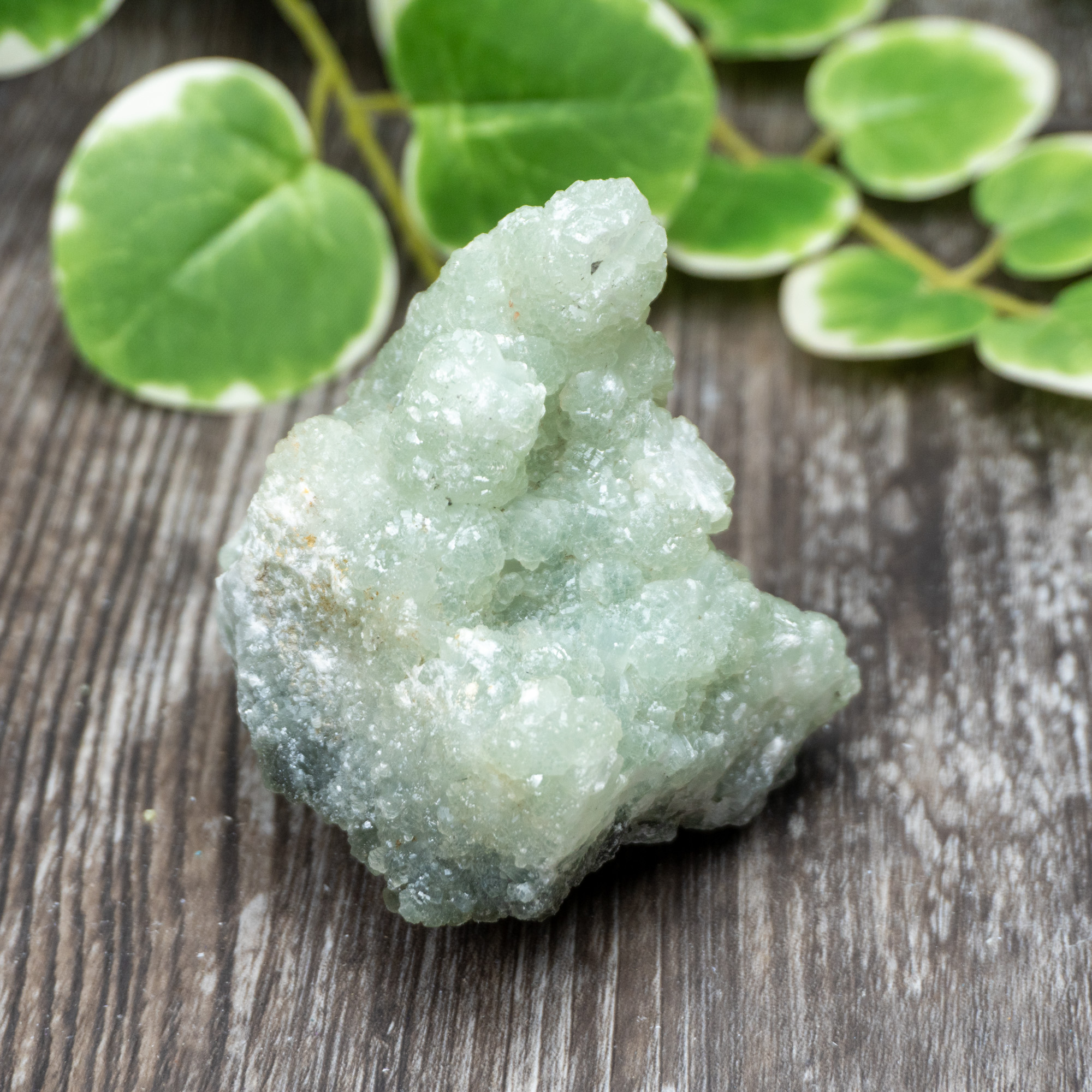 Prhenite Prehnite #1 - The Crystal Council