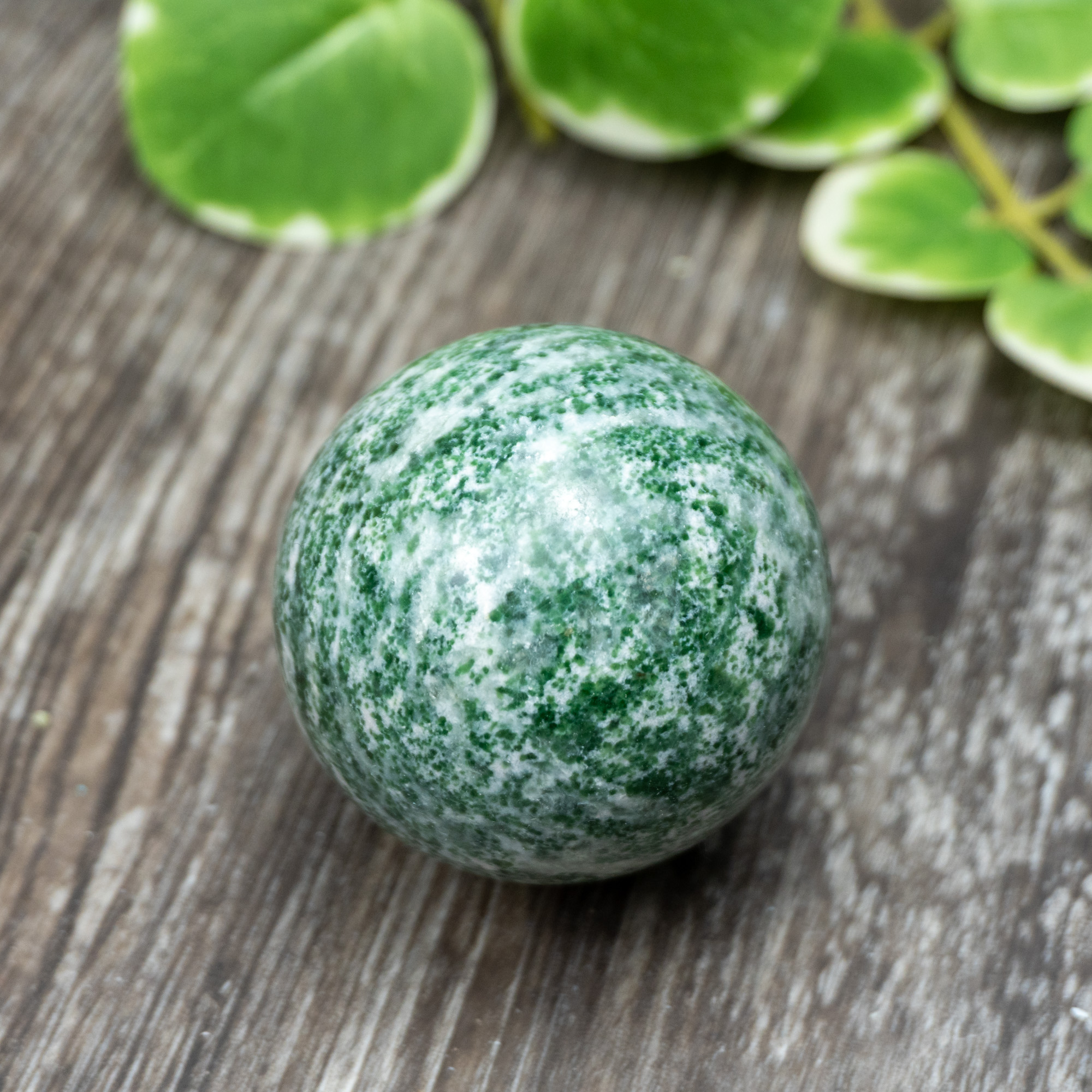 Tree Agate Sphere #2 - The Crystal Council