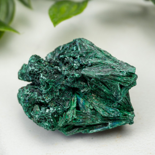 A+ Congo Malachite #7