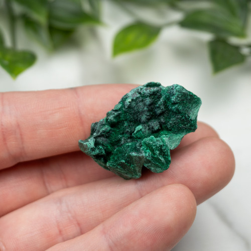 A+ Congo Malachite #4