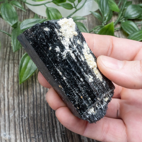 Black Tourmaline Crystallized with Hyalite Opal (Namibia) #9