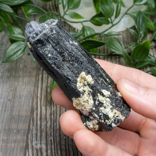 Black Tourmaline Crystallized with Hyalite Opal (Namibia) #6