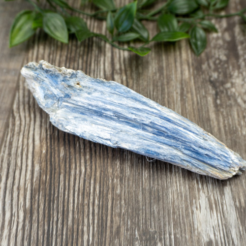 XL Blue Kyanite #5