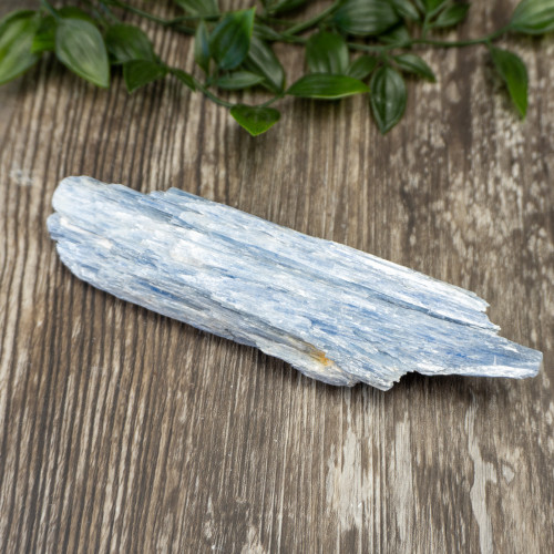 XL Blue Kyanite #3