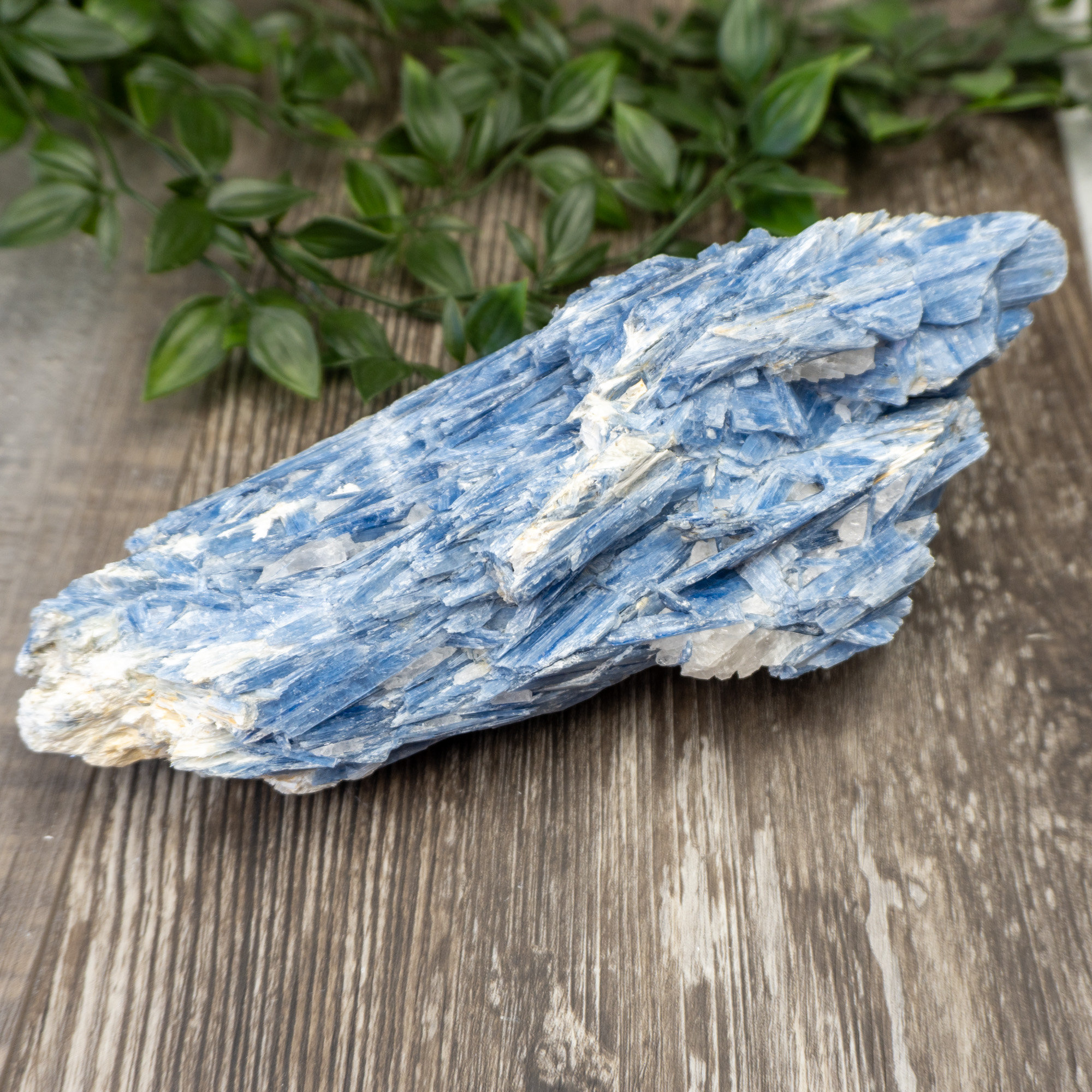 Kyanite Bleue Naturelle Du Népal - 1,15 Carat - Pierre Gemme Rare - Non Traitée