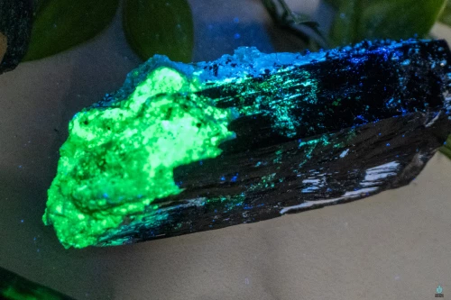 Namibian Black Tourmaline