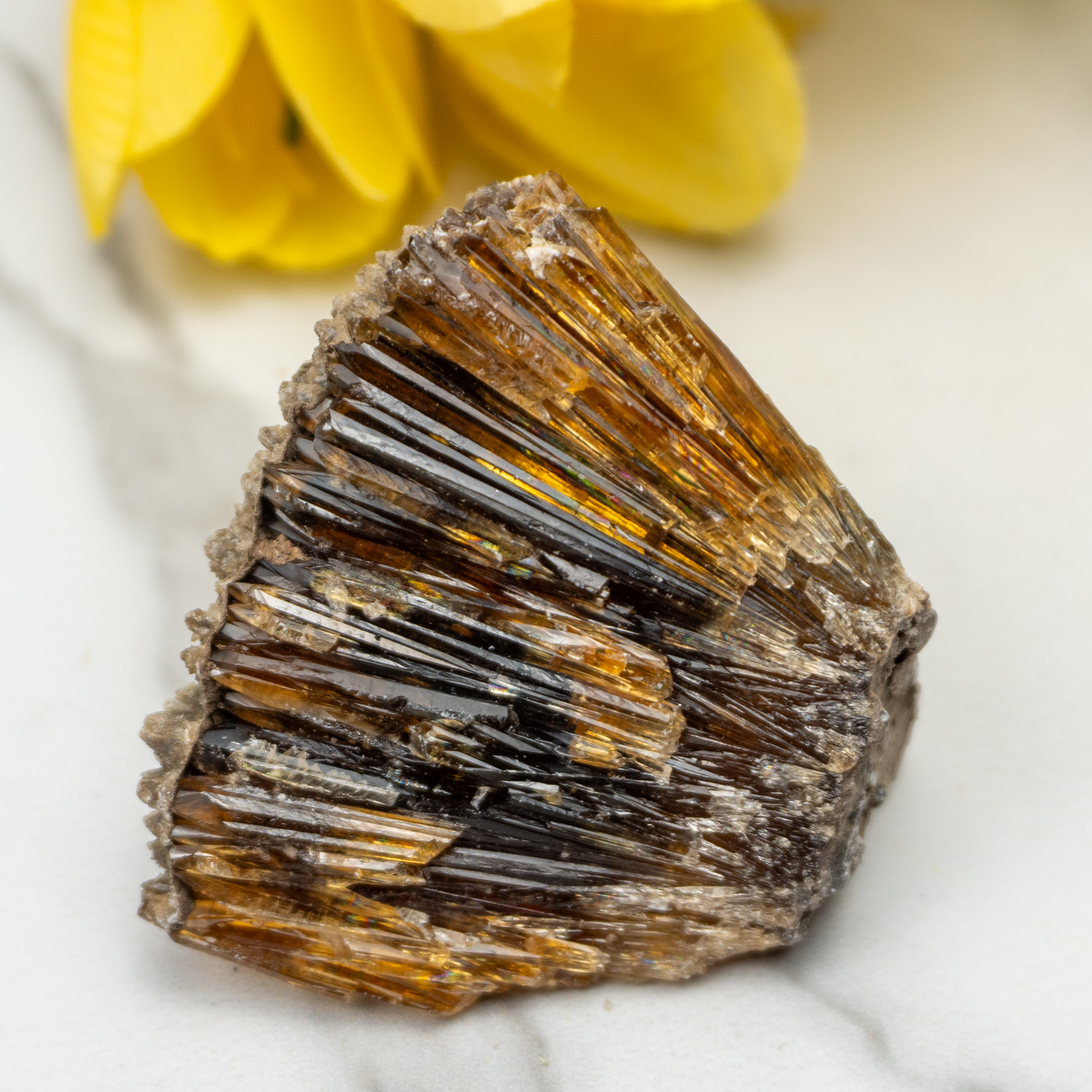 Amber Calcite #4
