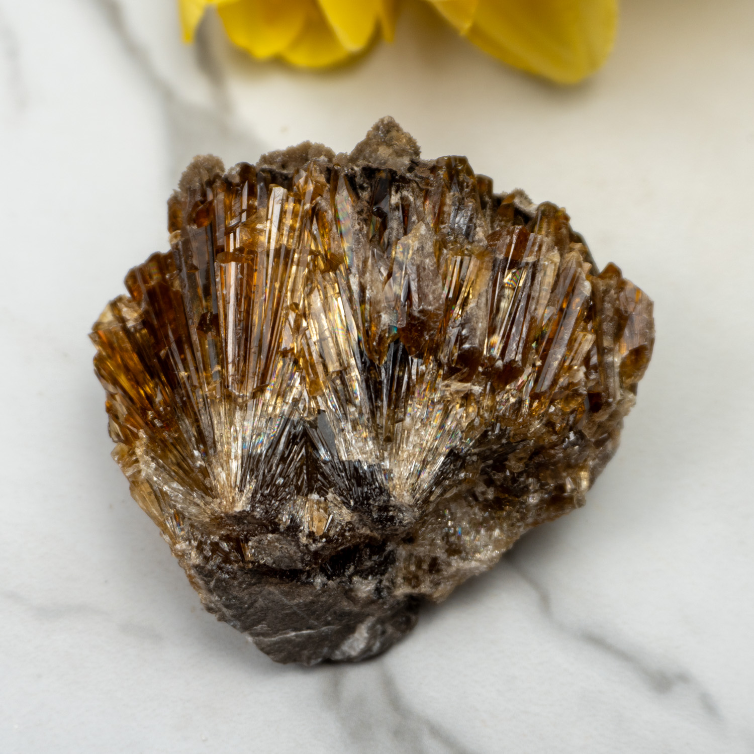 Amber Calcite #3
