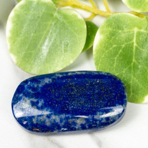 Lapis Lazuli Palmstone #5