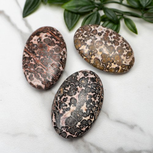 Leopard Skin Jasper Palmstone Random