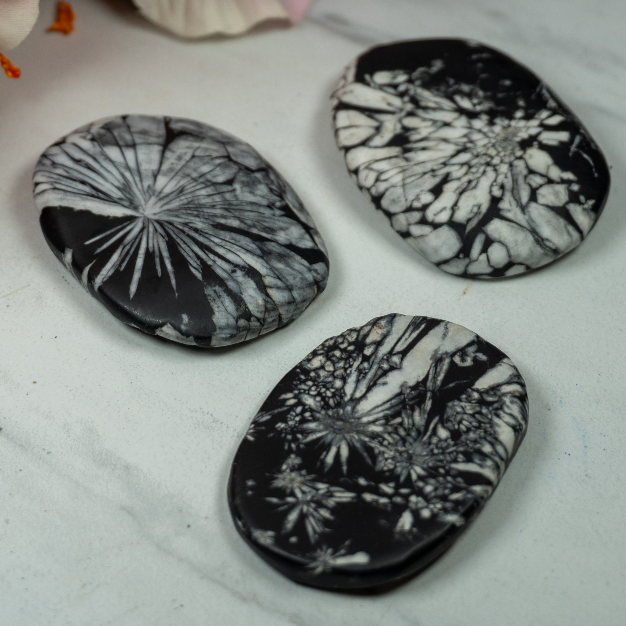 Chrysanthimum Stone Palmstone The Crystal Council