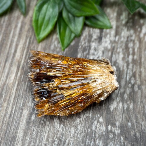 Amber Calcite #6