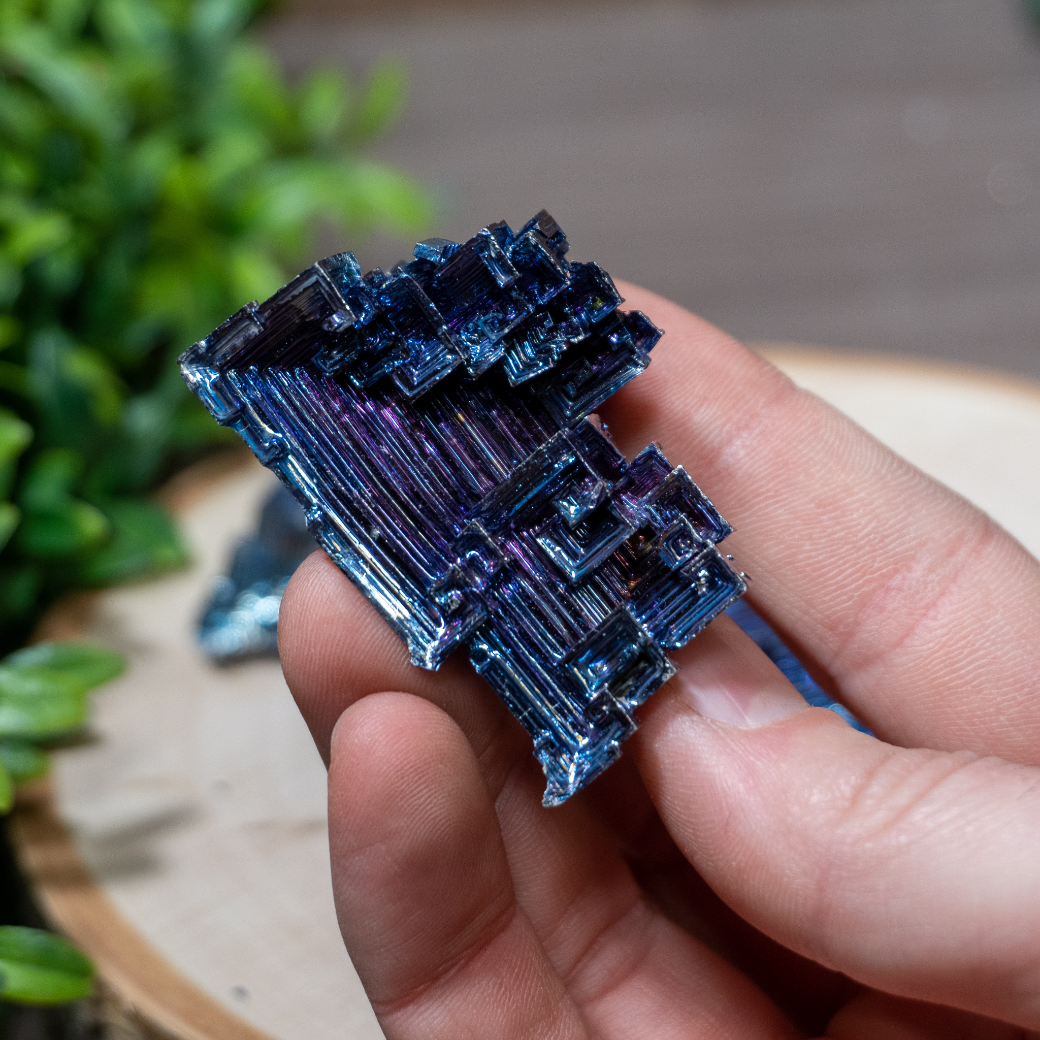 Blue Bismuth - The Crystal Council