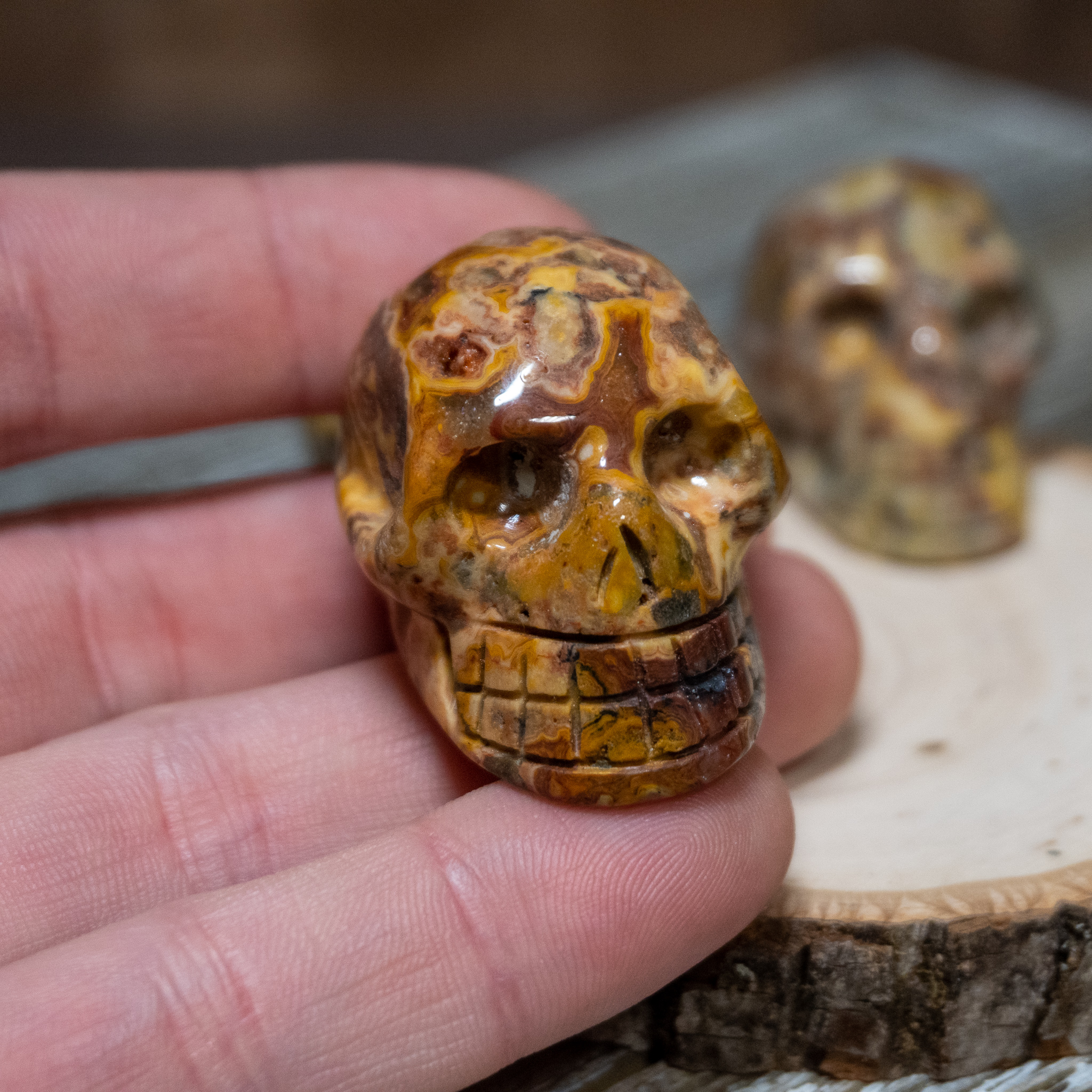 Crazy Lace Agate Skull