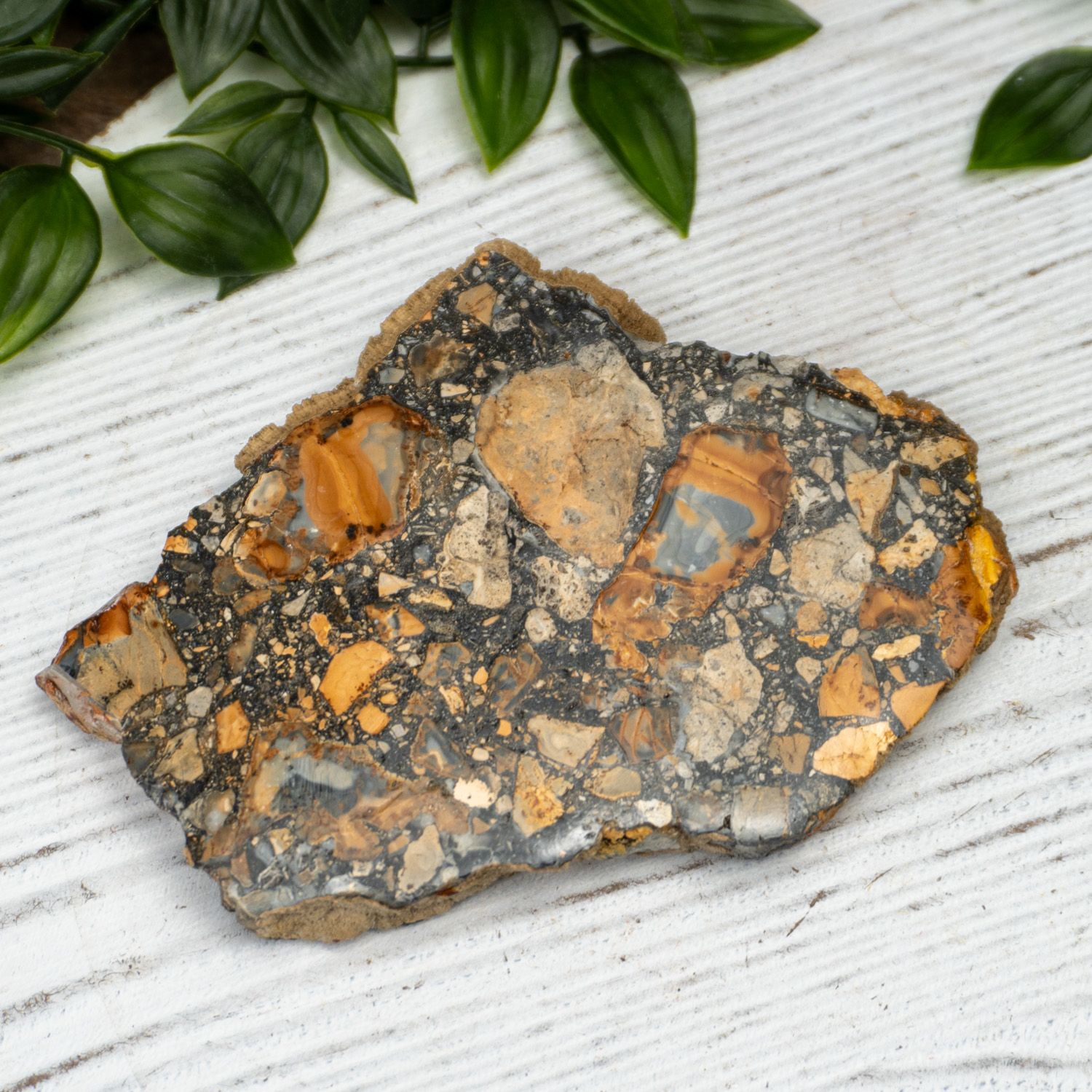 Maligano Jasper Slab #4