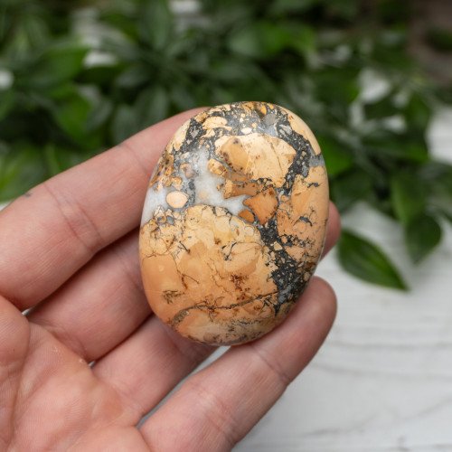 Maligano Jasper Palmstone #10
