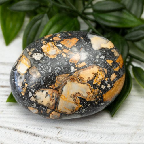 Maligano Jasper Palmstone #7