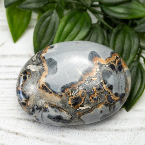 Maligano Jasper Palmstone #5