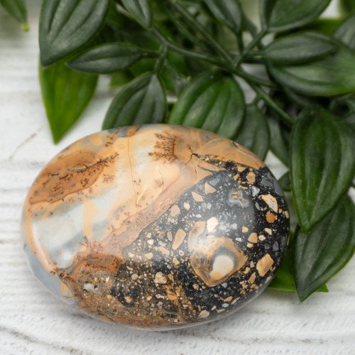 Maligano Jasper Palmstone #4