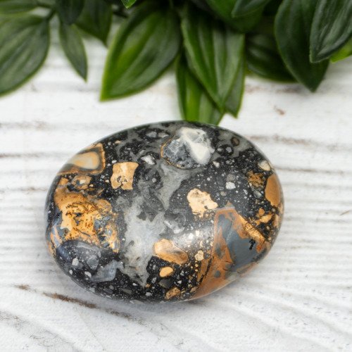 Maligano Jasper Palmstone #2