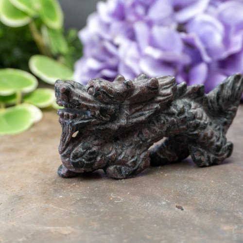 Garnet in Biotite Dragon #1