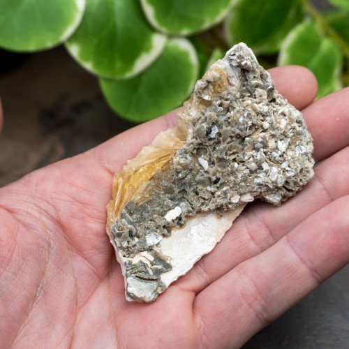 Calcite Clam #4