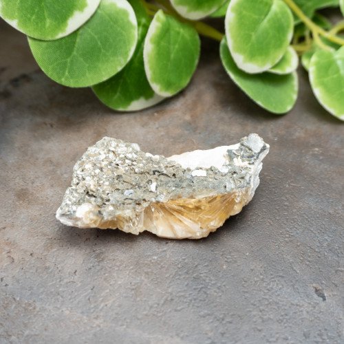 Calcite Clam #4