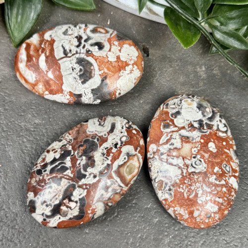 Money Agate Palmstone