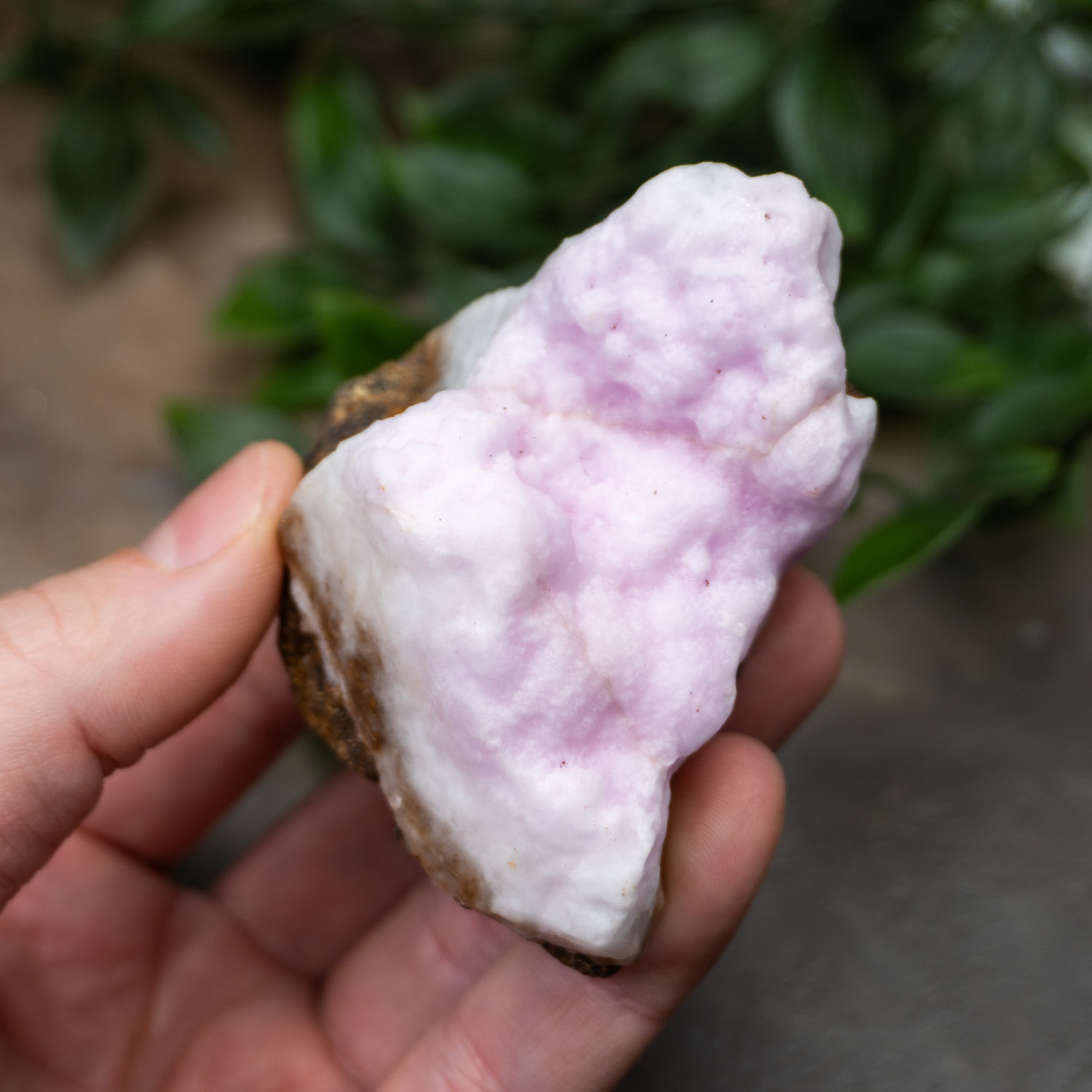 Pink Aragonite #4