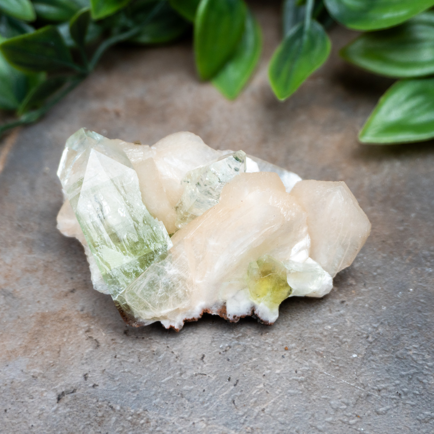 Green Apophyllite with Stilbite and Scolocite #5