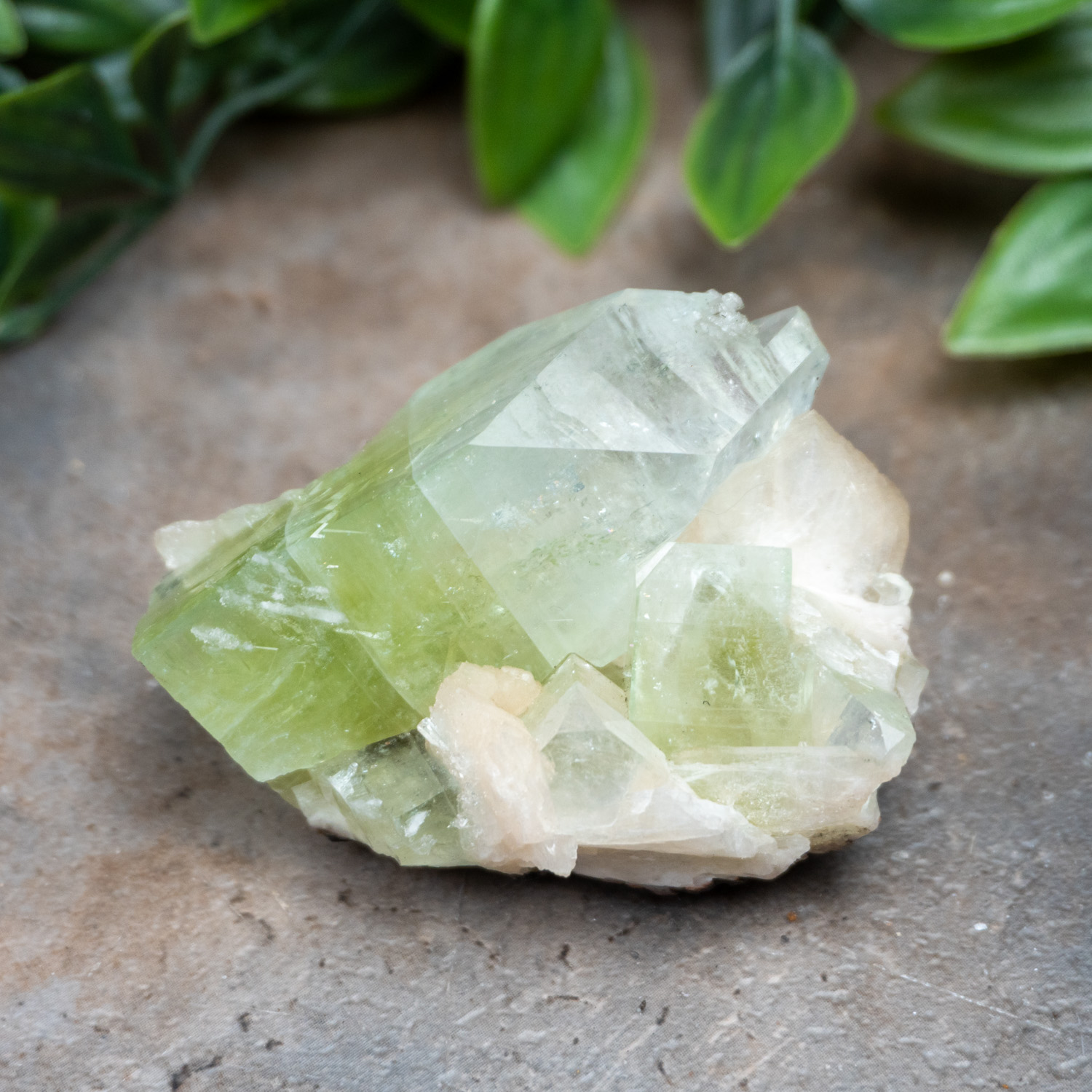 Green Apophyllite with Stilbite and Scolocite #4