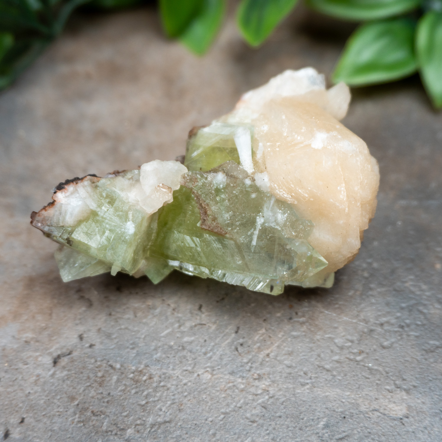 Green Apophyllite with Stilbite and Scolocite #2