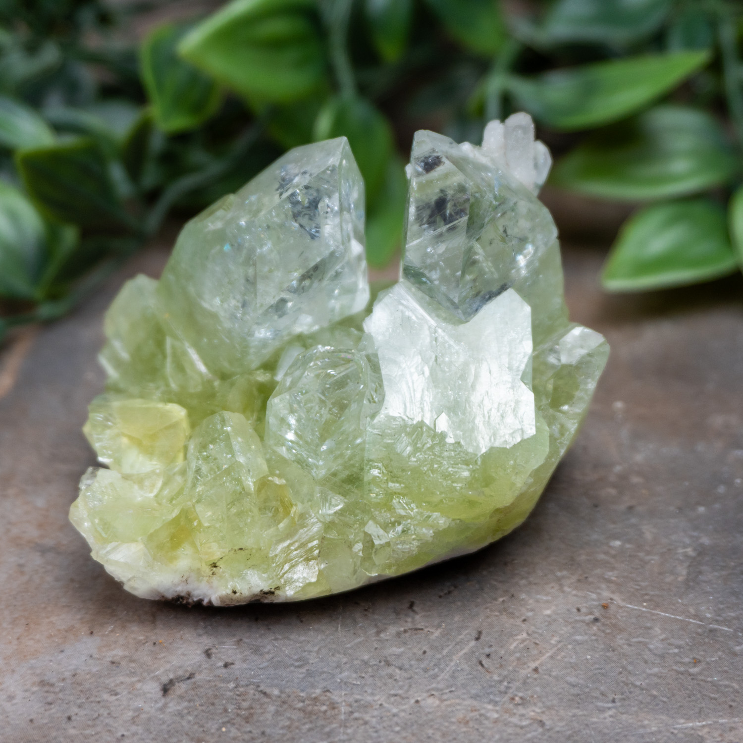 Green Apophyllite #1