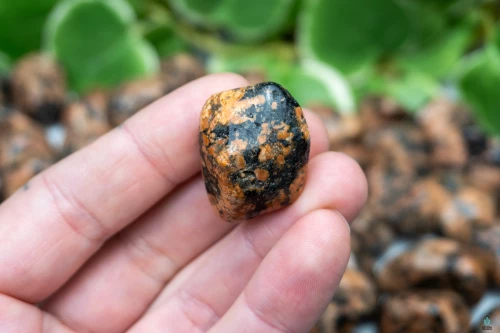 Luxullianite